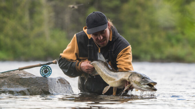 Guide sur la pêche au brochet